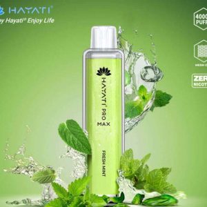 Hayati Pro Max Fresh Mint 4000pfs 2%