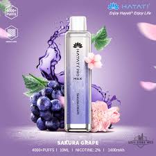 Hayati Pro Max Sakura Grape 4000pfs 2%