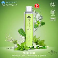 Hayati Pro Max Fresh Mint 4000pfs 2%