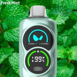 Waka Fresh Mint 25000pfs 50mg