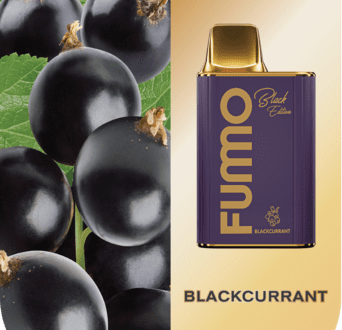 Blackcurrant Fumo King 6000pfs