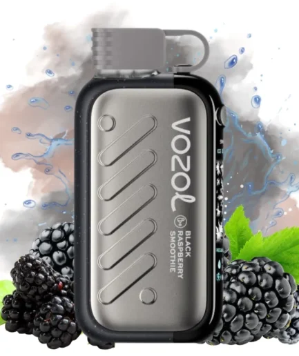 Vozol Gear Ice Black Raspberry Smoothie 50k pfs